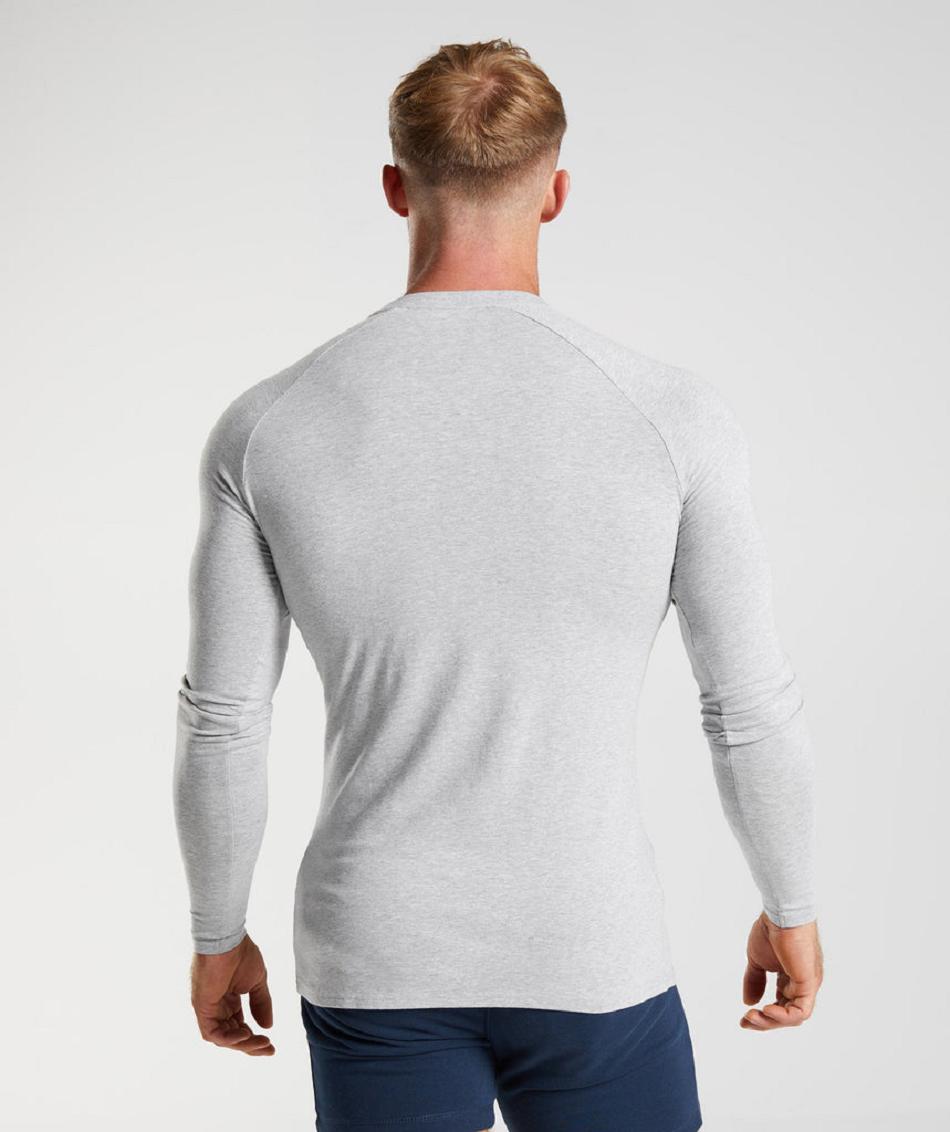 Long Sleeve Gymshark Apollo Hombre Gris Claro | CO 3527SGL